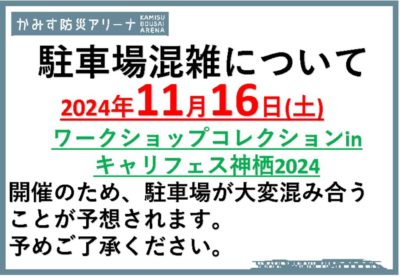 11.16キャリフェスのサムネイル